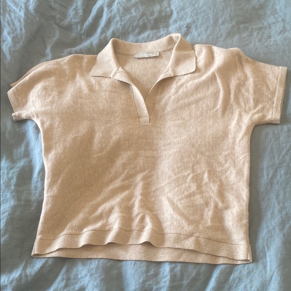 Everlane Merino Polo